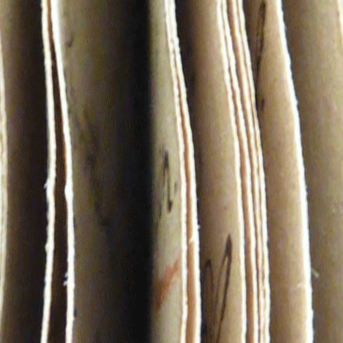 kirchenbuchamt-kopfbild-2